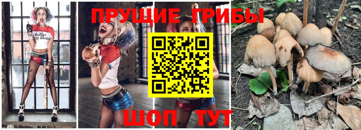 Галлюциногенные грибы MAGIC MUSHROOMS Рославль