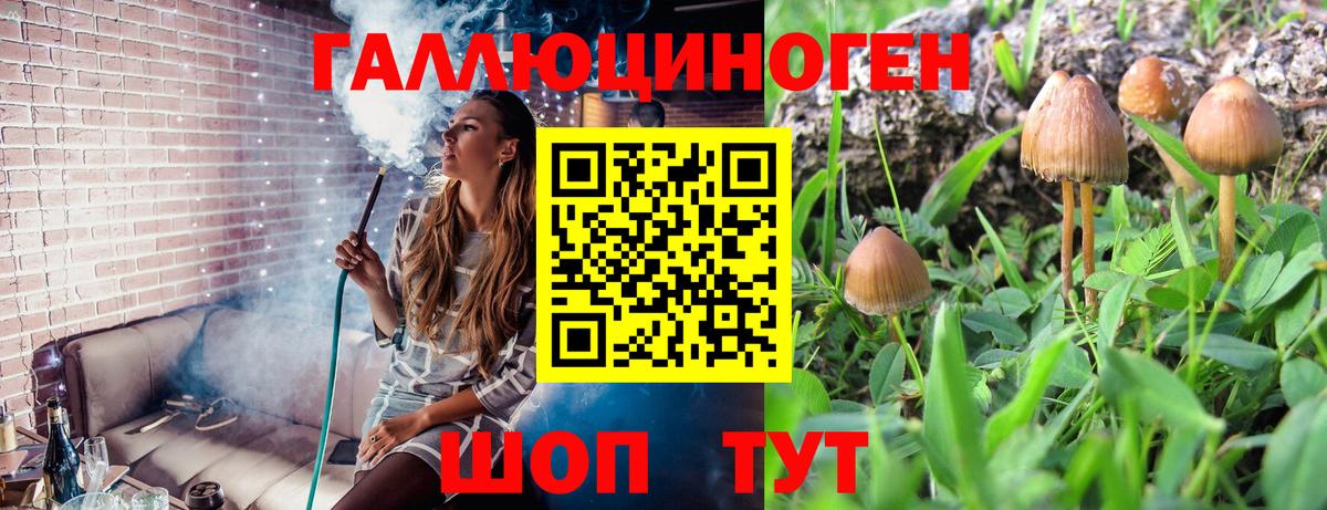 Галлюциногенные грибы GOLDEN TEACHER  как найти   Рославль  Вход с VPN 